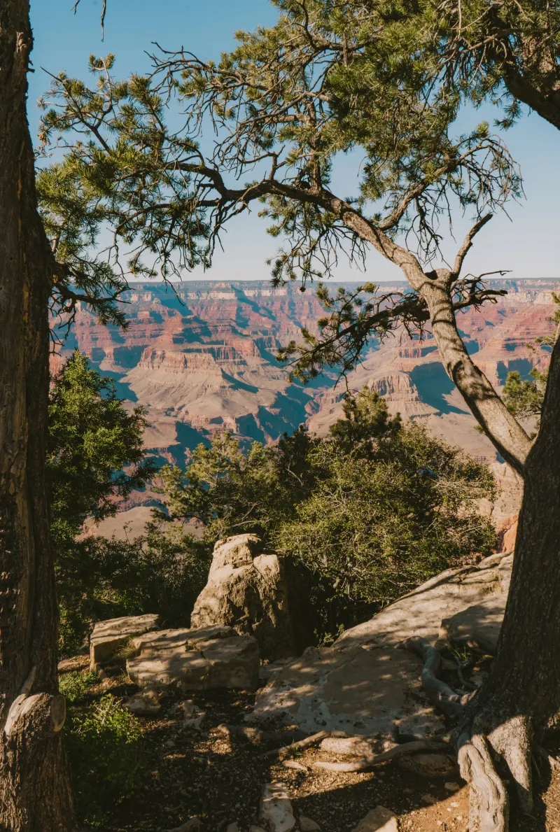 Home — photograph 20