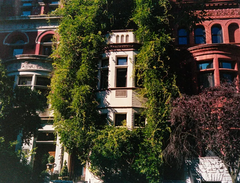 Home — photograph 15