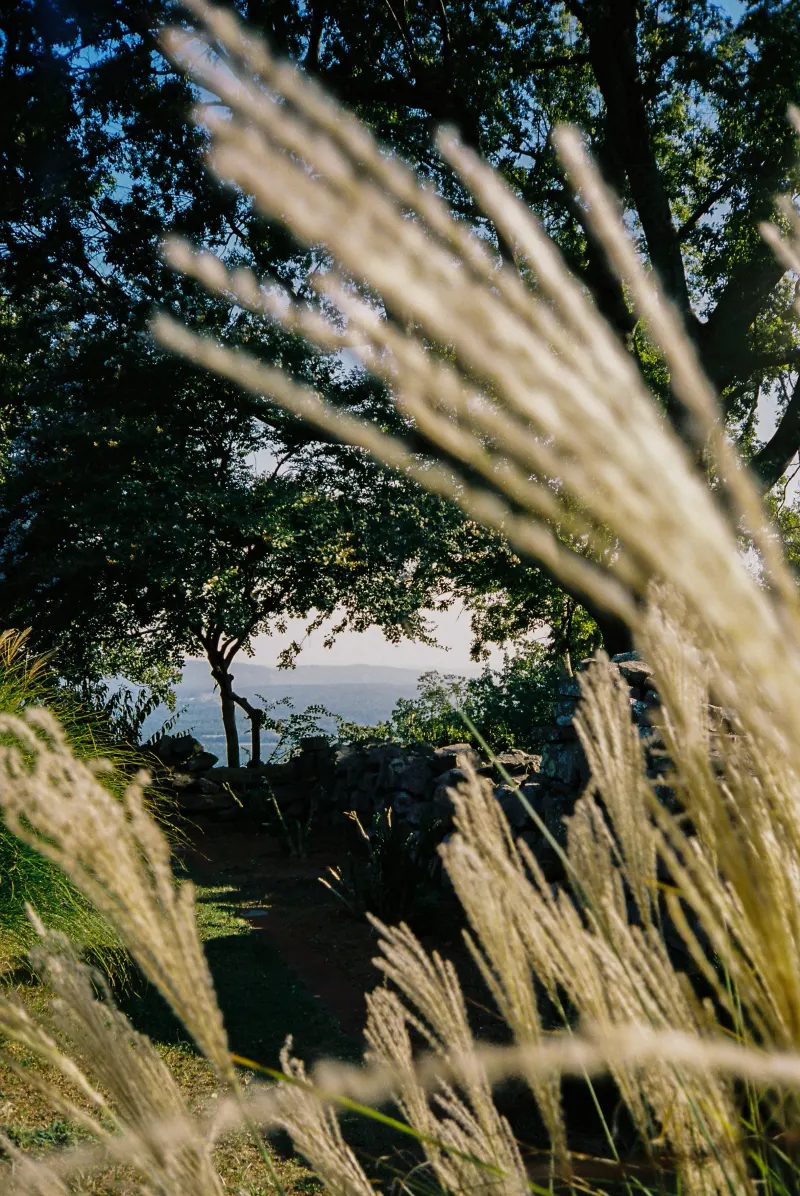 Home — photograph 37
